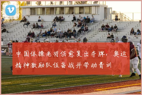 中国体操老将伤愈复出夺牌,奥运精神激励队伍备战并带动青训